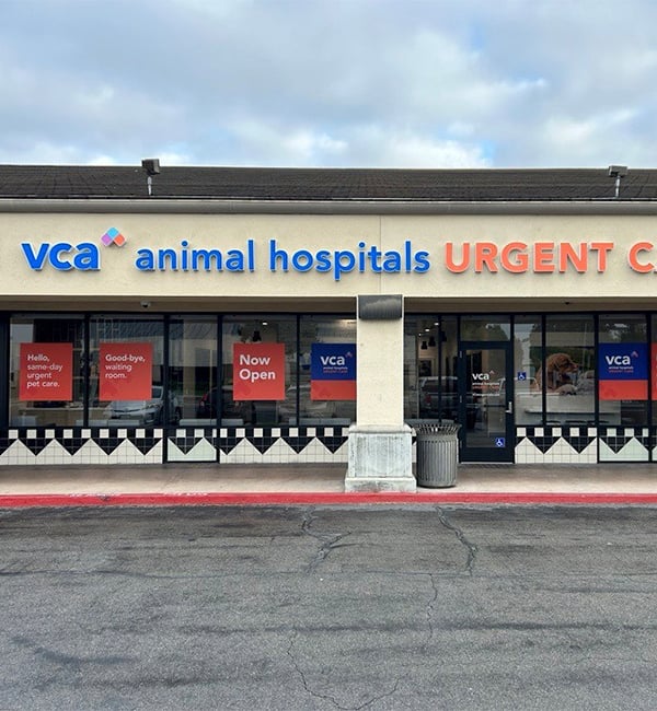 VCA Animal Hospital by RCS construction